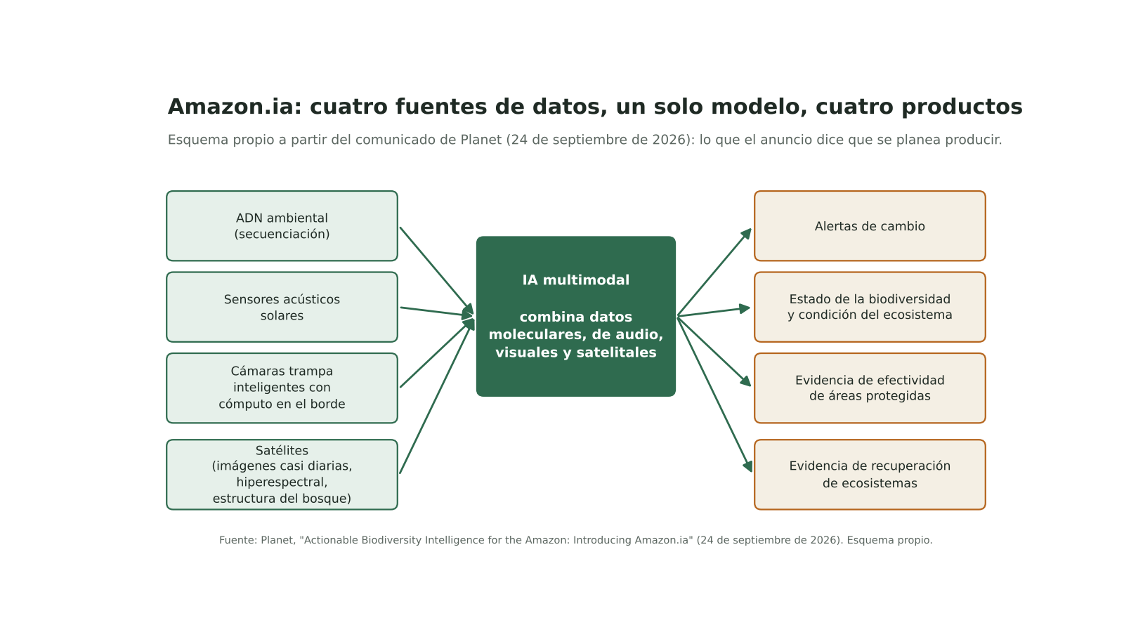 Esquema con cuatro fuentes de datos a la izquierda (ADN ambiental, sensores acústicos, cámaras trampa y satélites), un modelo de IA multimodal al centro y cuatro productos a la derecha