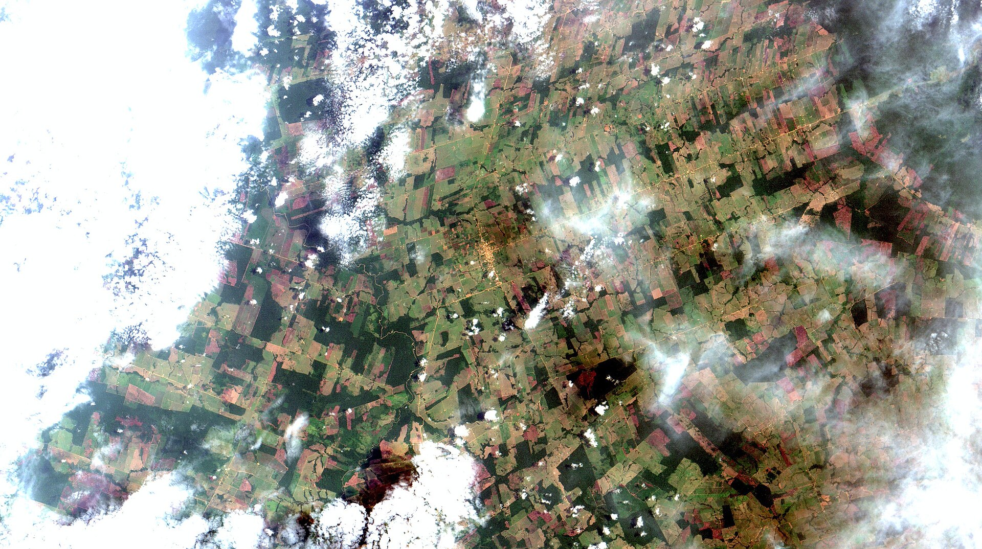 Imagen satelital de un paisaje amazónico donde el bosque oscuro queda reducido a parches entre parcelas y caminos