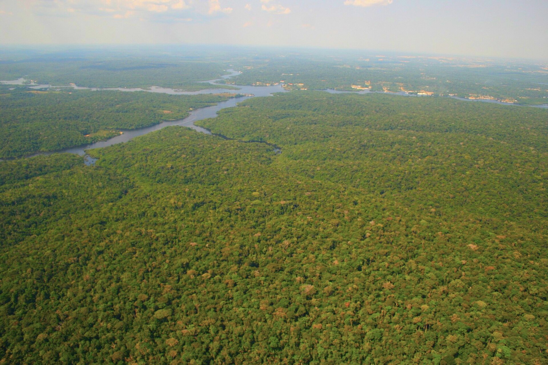 Vista aérea de un bosque amazónico continuo atravesado por un río cerca de Manaus