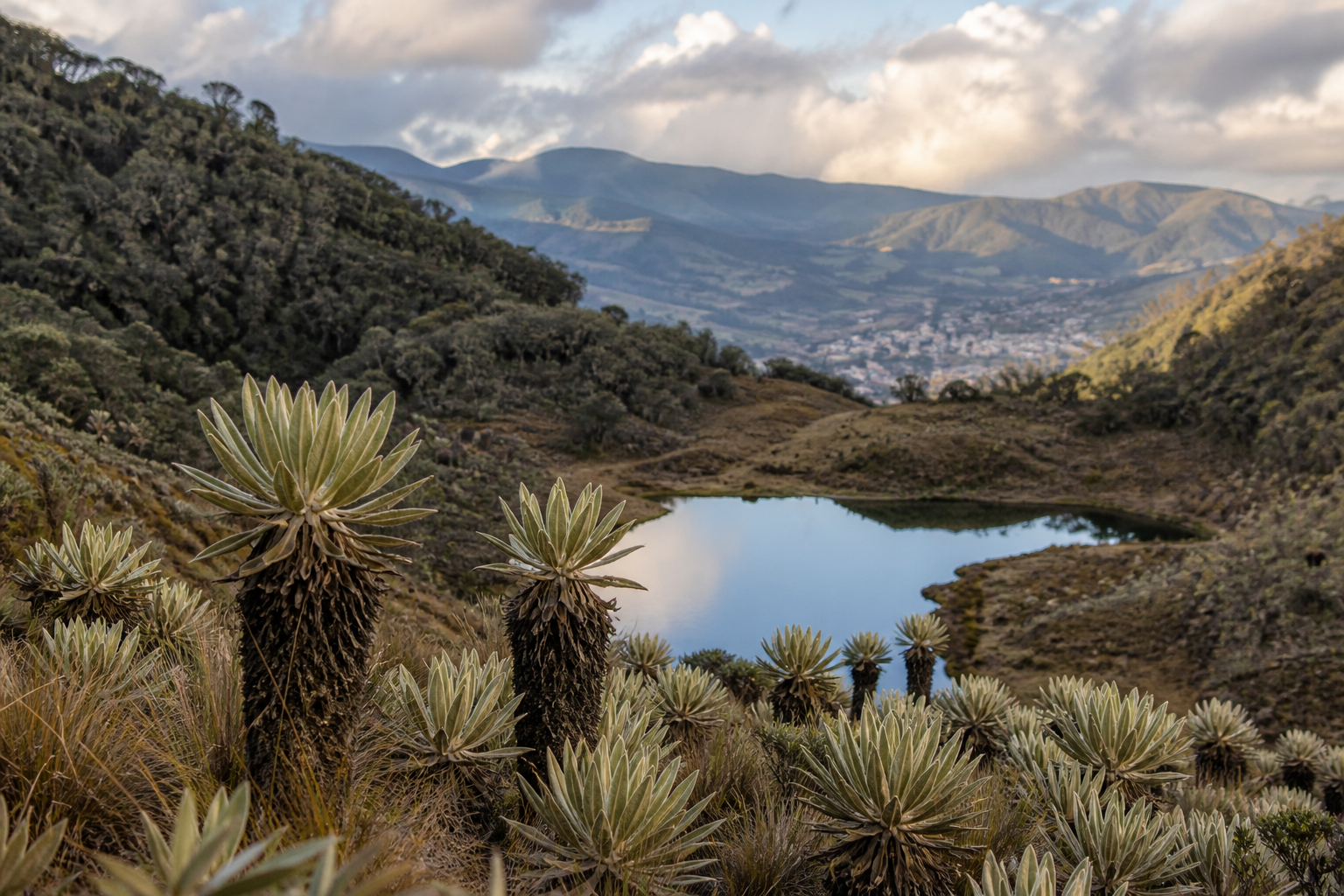 Estructura ecológica principal: qué dice la norma, qué la compone y cómo entra en un POT