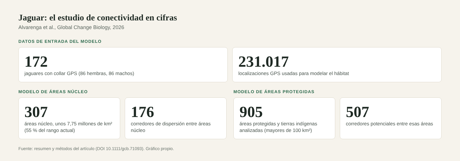 Seis tarjetas con las cifras del estudio: 172 jaguares, 231.017 localizaciones, 307 áreas núcleo, 176 corredores, 905 áreas protegidas y 507 corredores potenciales