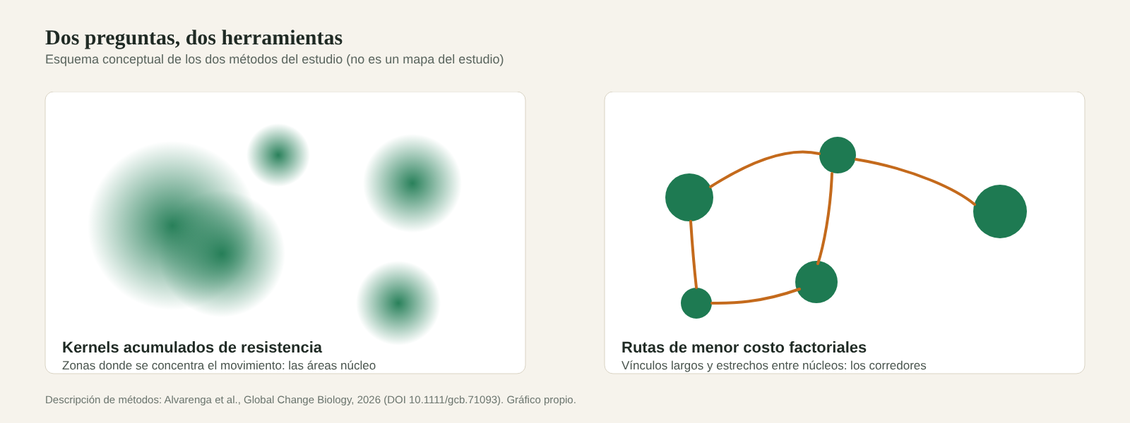 Dos paneles que comparan núcleos como manchas verdes difusas y corredores como líneas naranja entre círculos verdes