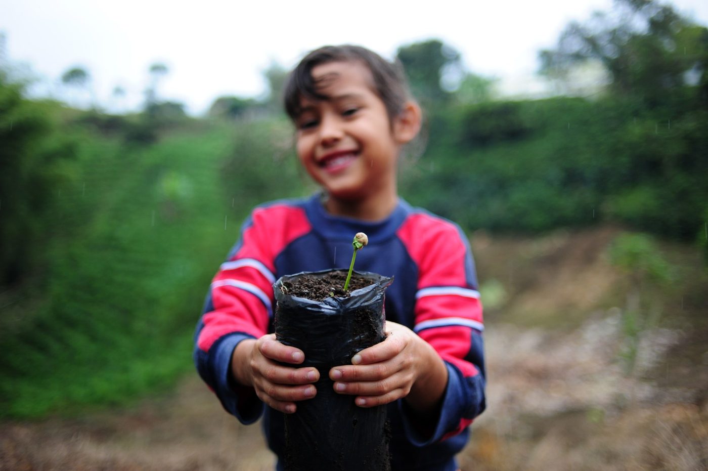 Niña sonriente sosteniendo una bolsa de vivero con una plántula, con ladera cultivada al fondo